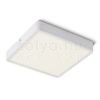 Kép HUE SQ 22 mennyezeti lámpa fehér 230V LED 24W 3000K