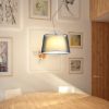 Kép ESPLANADE függő lámpa átlátszó fekete/fehér króm 230V LED E27 15W