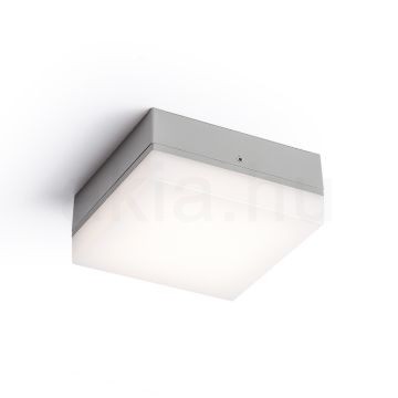 Kép SPECTACLE felületre szerelhető ezüstszürke 230V LED 5W IP54 3000K