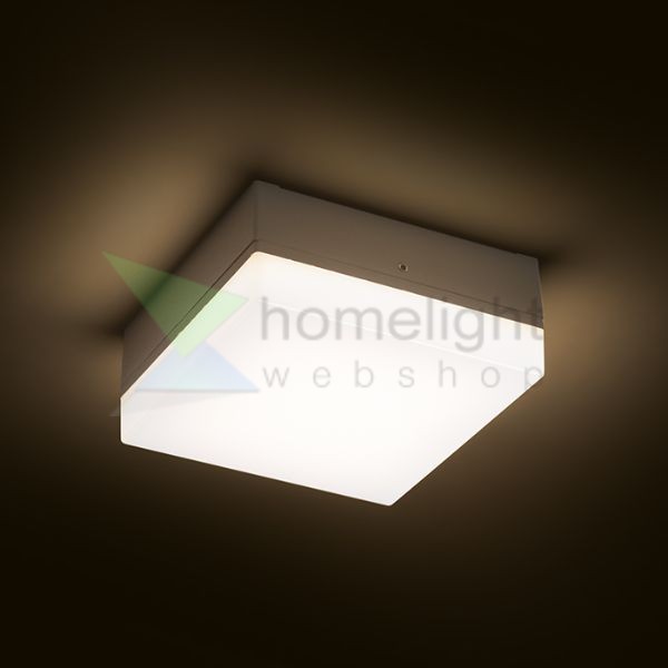 SPECTACLE felületre szerelhető ezüstszürke 230V LED 5W IP54 3000K