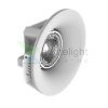DINGO R dönthető lámpa  gipsz 230V LED G53 15W