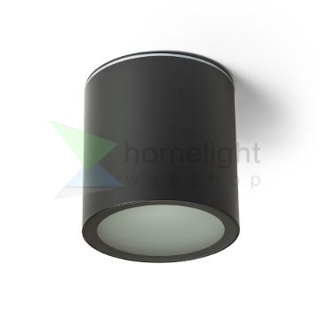 DUNE ES111 mennyezeti lámpa fekete 230V LED GU10 9W IP65