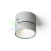 FLAVIO R felületre szerelhető világosszürke 230V LED 6W 110° IP54 3000K