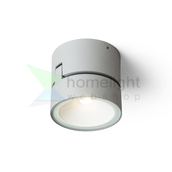 FLAVIO R felületre szerelhető világosszürke 230V LED 6W 110° IP54 3000K