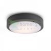 SONNY mennyezeti lámpa antracit  230V LED E27 2x15W IP54